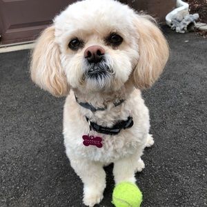 Meet your Posher, Katelyn